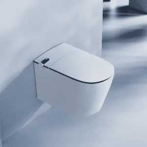 L1