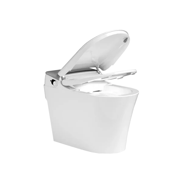 Smart Toilet